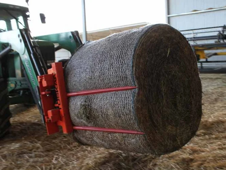 Bale Grub